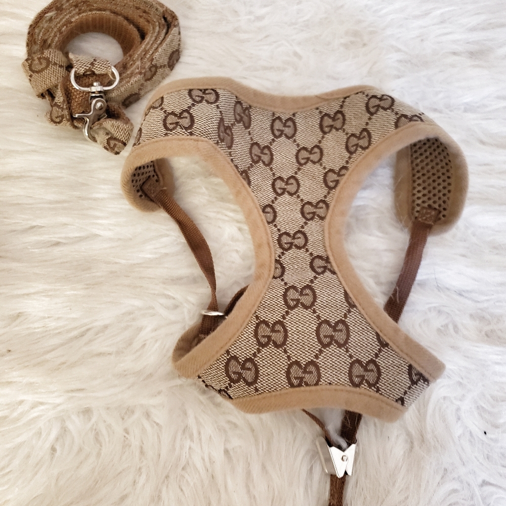 Gucci Dog Harness & Leash